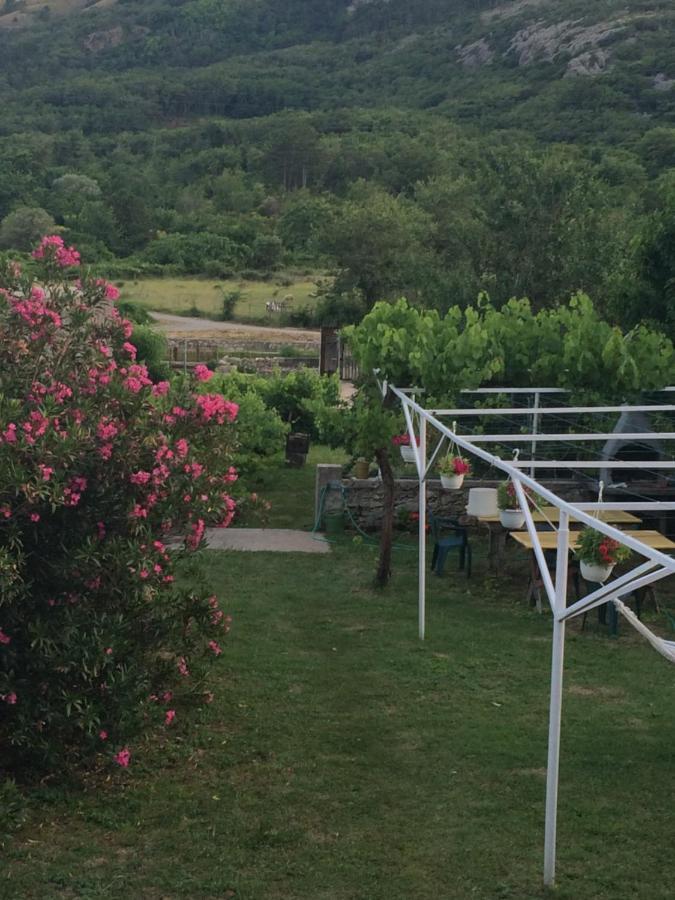Guest House Darinka Draga Bašćanska Eksteriør billede