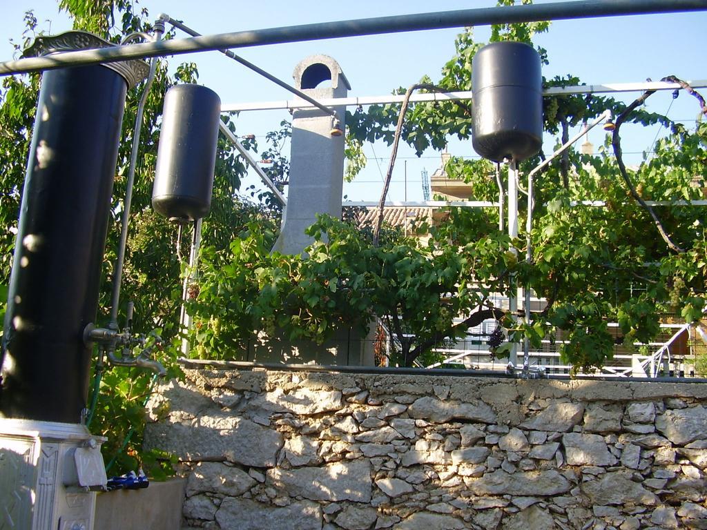 Guest House Darinka Draga Bašćanska Eksteriør billede